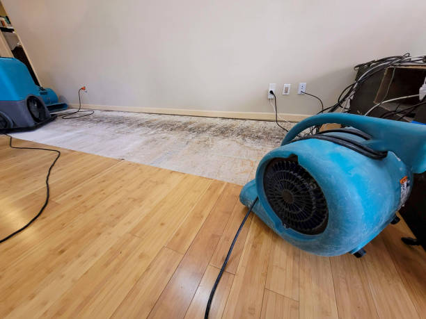 Reliable Basement Flood Cleanup contractor in Oakley, KS by Hirex Water Damage