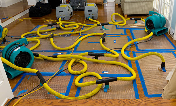 Professional Basement Flood Cleanup technician working in Oakley, KS